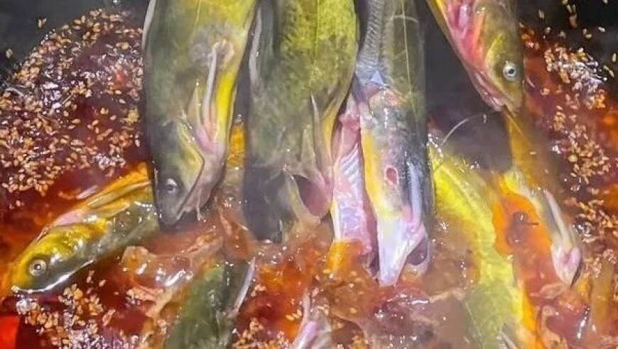 白小姐一肖期期中特资料大全,男子患癌花40多万半张脸没了,详细释义解释落实_尊享版V12.45
