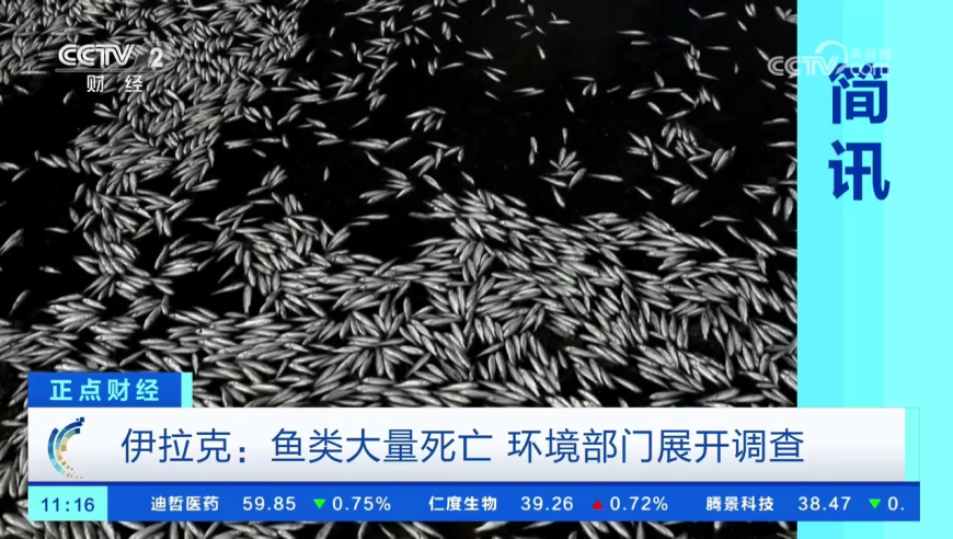 管家婆一肖一马1000正确,使用人民币版冥币祭祀合法？,全面解答解释落实_创新版V1.59