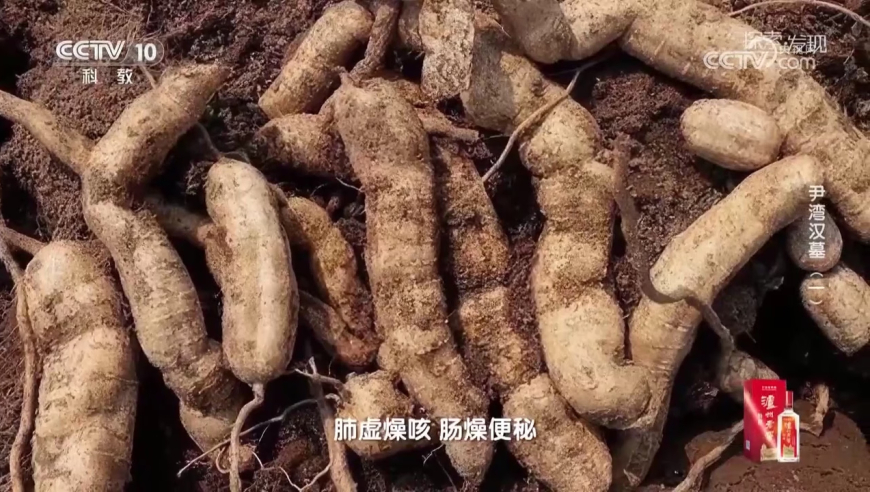 周冠宇：在F1的旅程还没有结束,看澳门最快开奖直播网站,准确资料解释落实_网红版V2.20